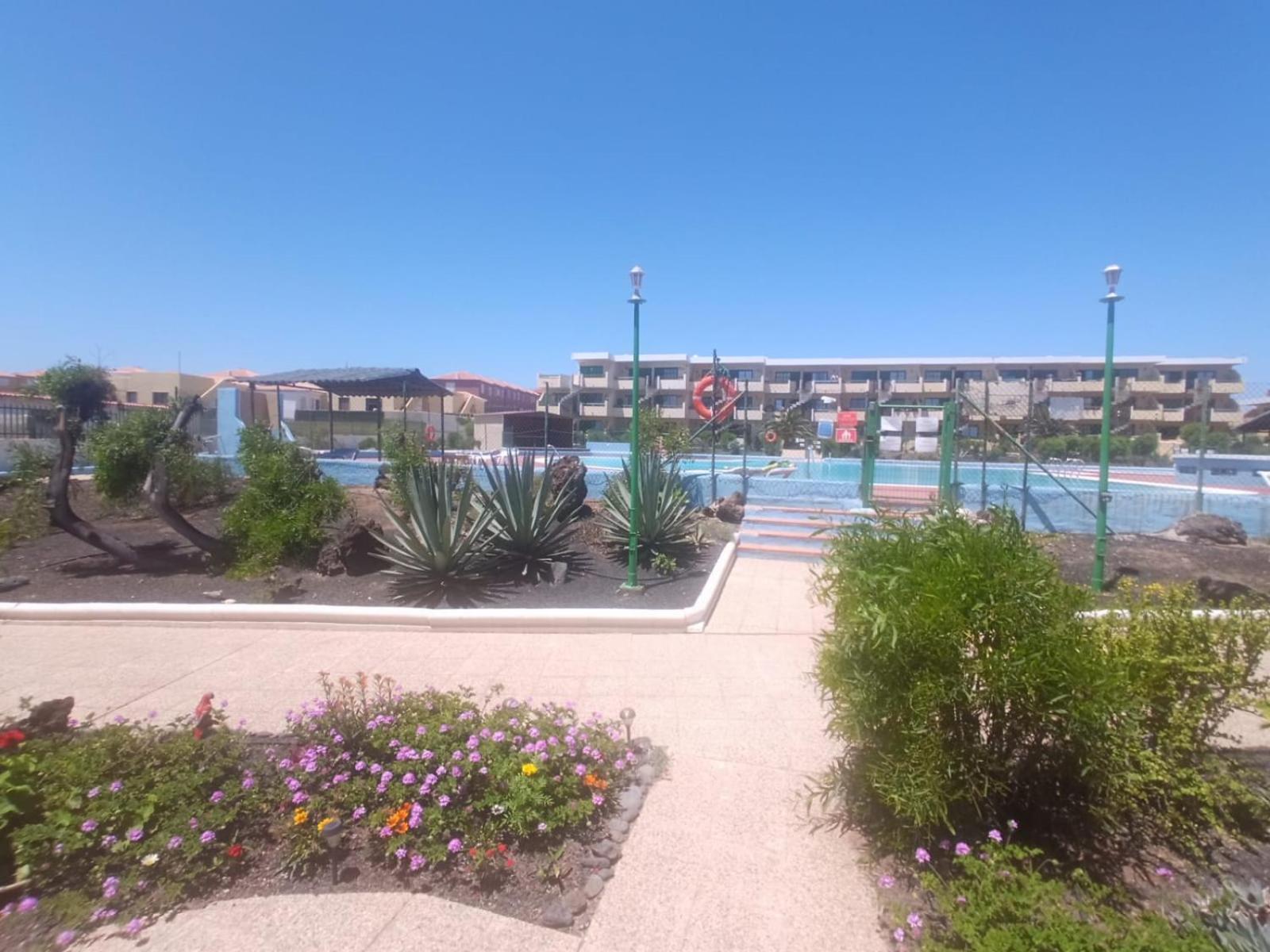 Sunny Bungalow With Pool View By Ocean كوستا دي أنتيجوا المظهر الخارجي الصورة